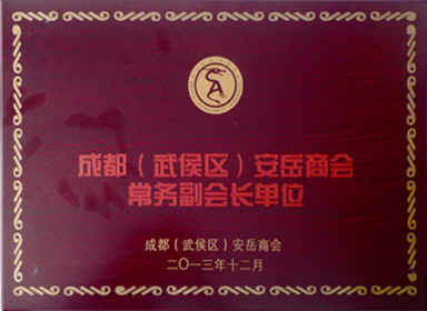 常务副会长单位